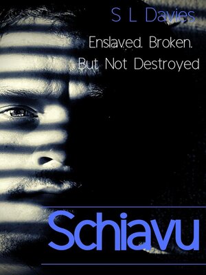 cover image of Schiavu